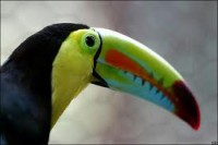/album/fotogaleria/images-14-jpg/